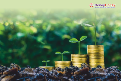 Fixed deposits or debt mutual funds: Which one is better for you?